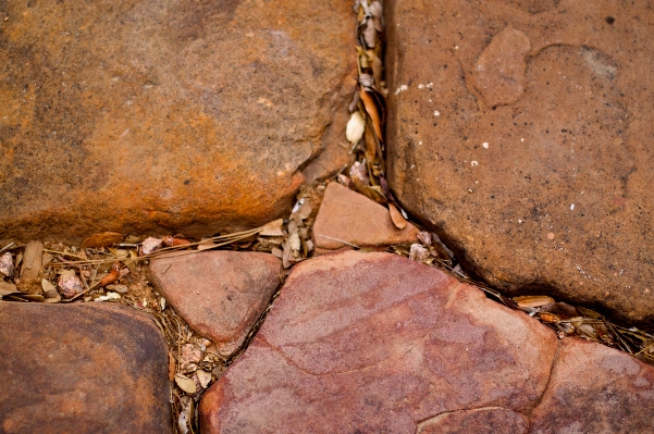 Rock wood formation wildlife Photo