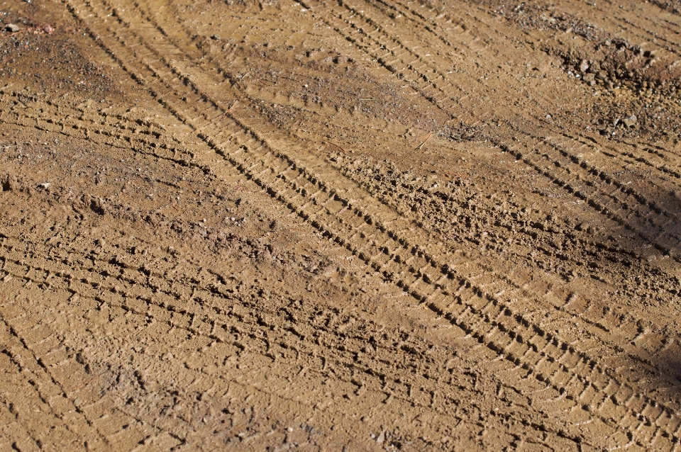 Landschaft sand holz feld