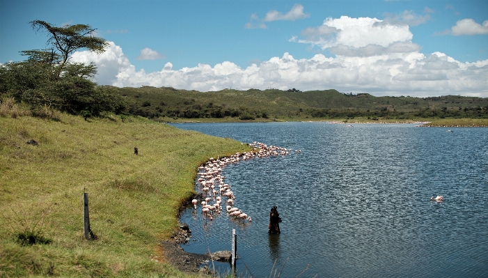 Foto Paisagem mar água região selvagem
