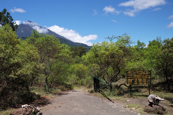 Landscape wilderness walking mountain Photo