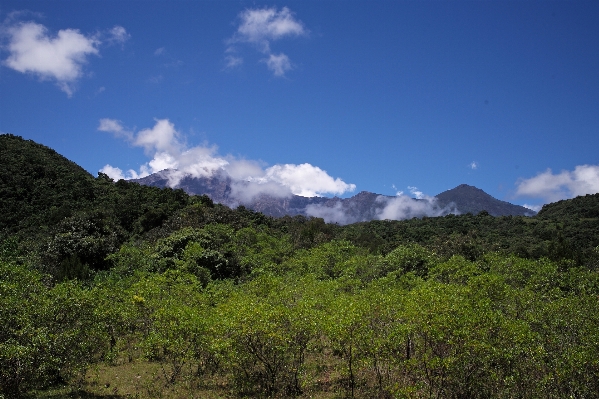 Landscape nature forest wilderness Photo