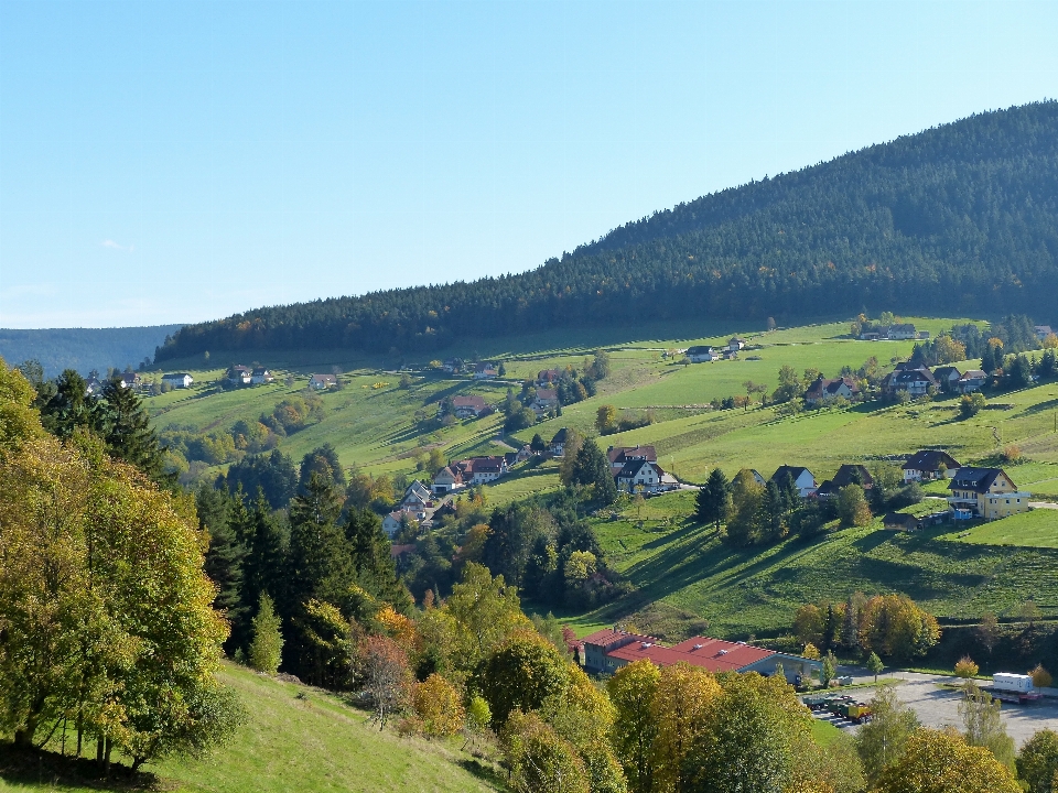 Paisagem árvore floresta montanha