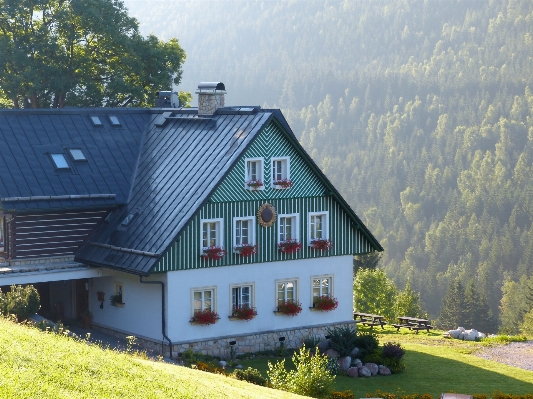 Forest hiking farm countryside Photo