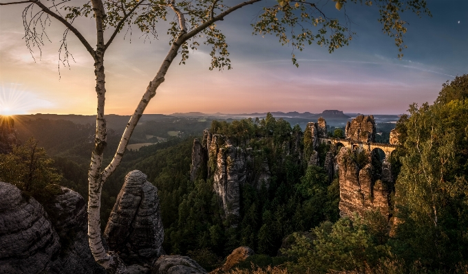 Фото пейзаж дерево природа лес