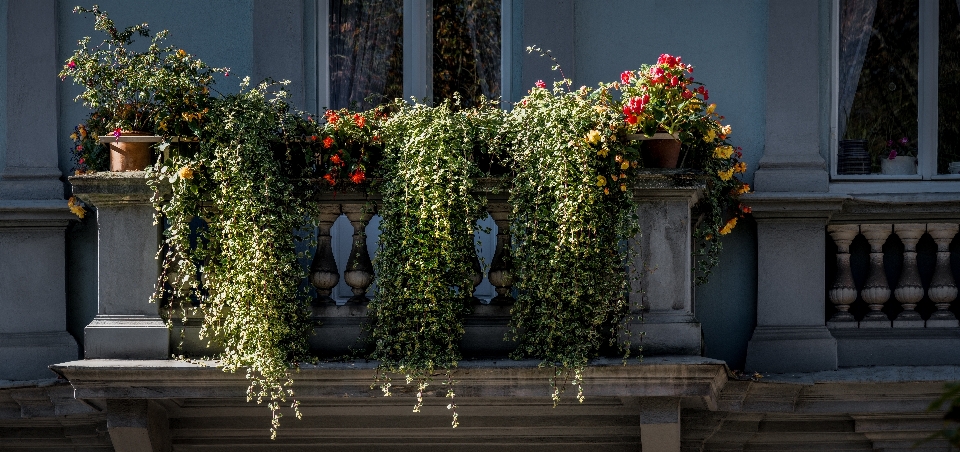 Draussen die architektur haus blume