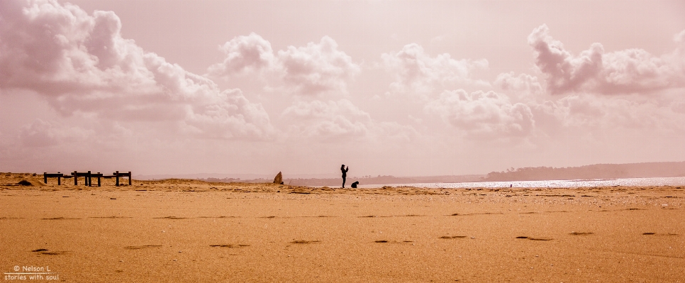 Beach landscape sea coast Photo