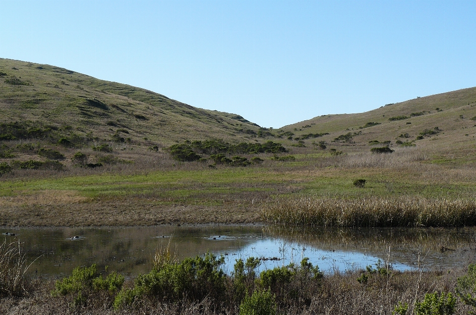 Landscape marsh wilderness mountain