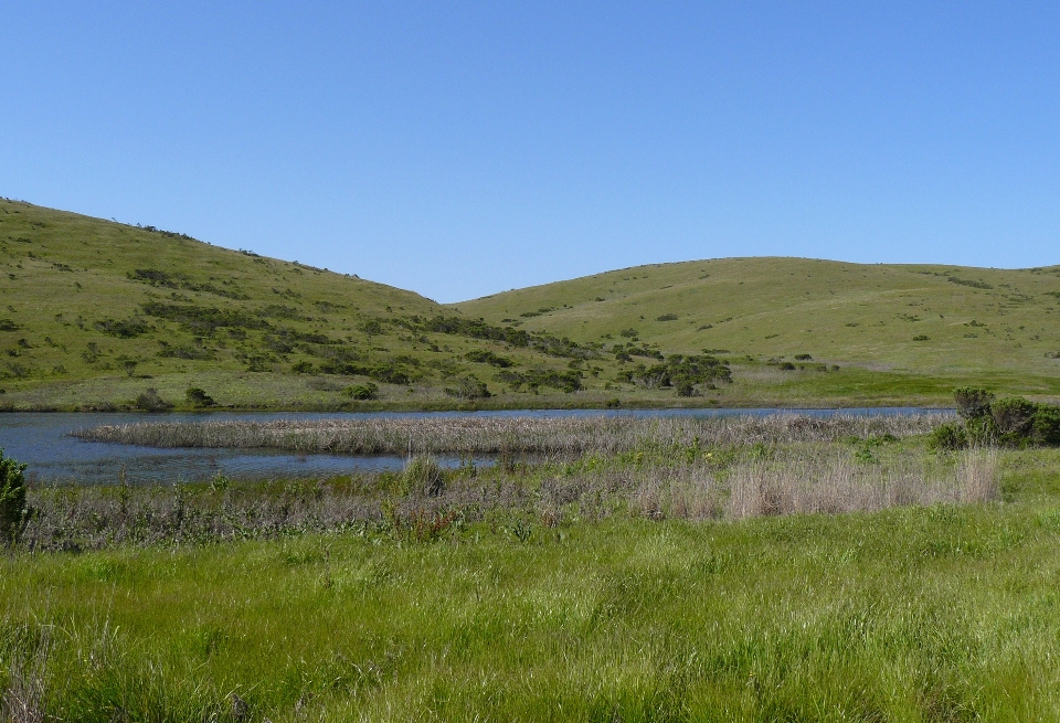 Landschaft gras sumpf
 wildnis
