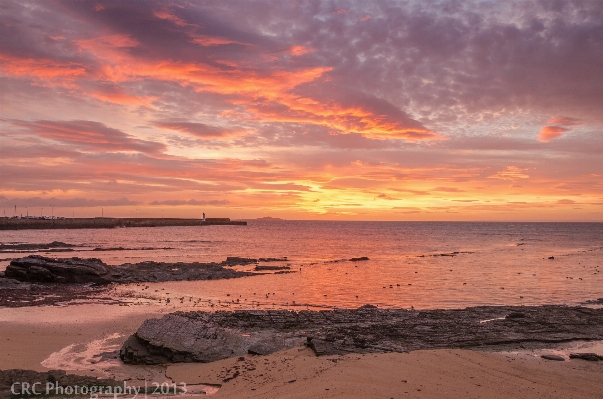 Beach sea coast water Photo