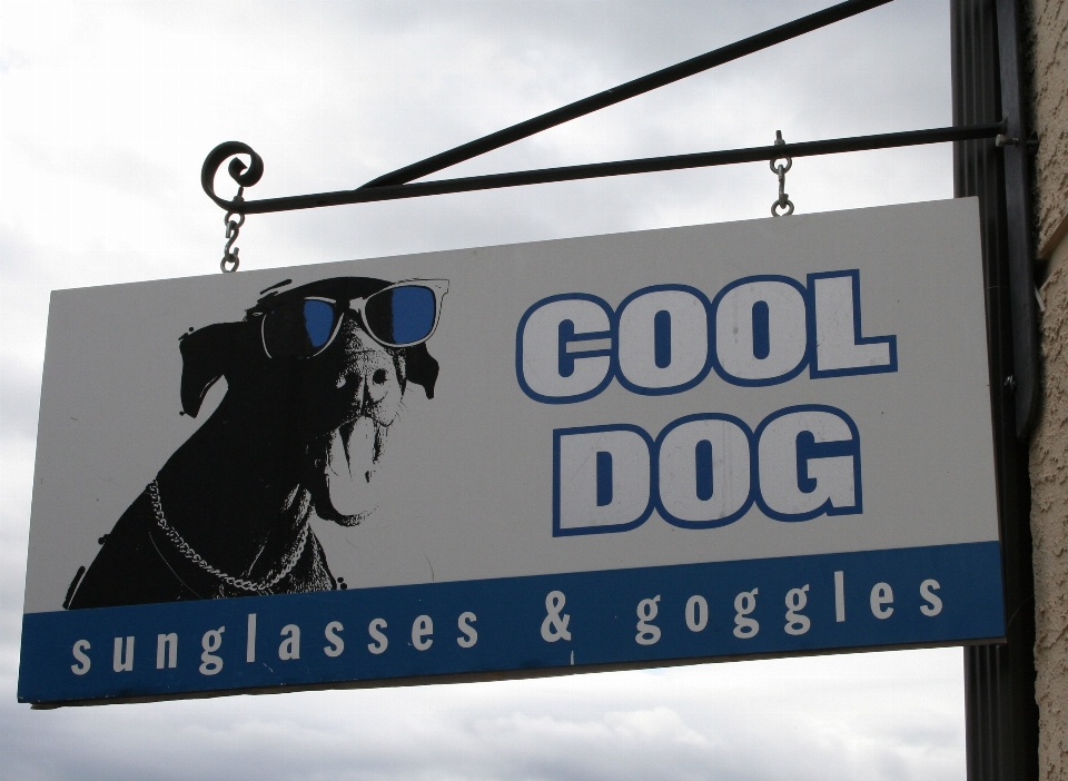 Dog advertising sign banner