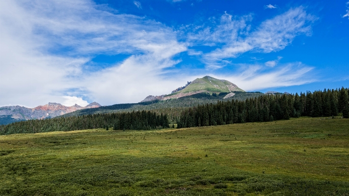 Foto Paesaggio albero natura selvaggia
