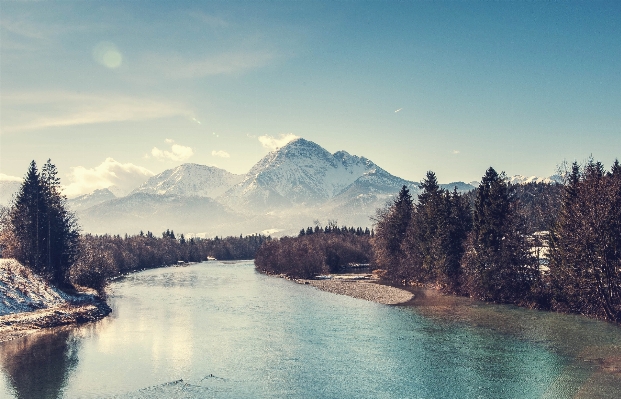 Foto Paisagem árvore natureza região selvagem
