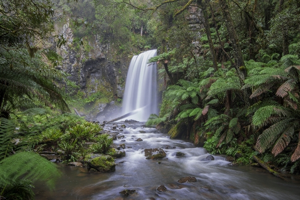 Landscape water nature forest Photo