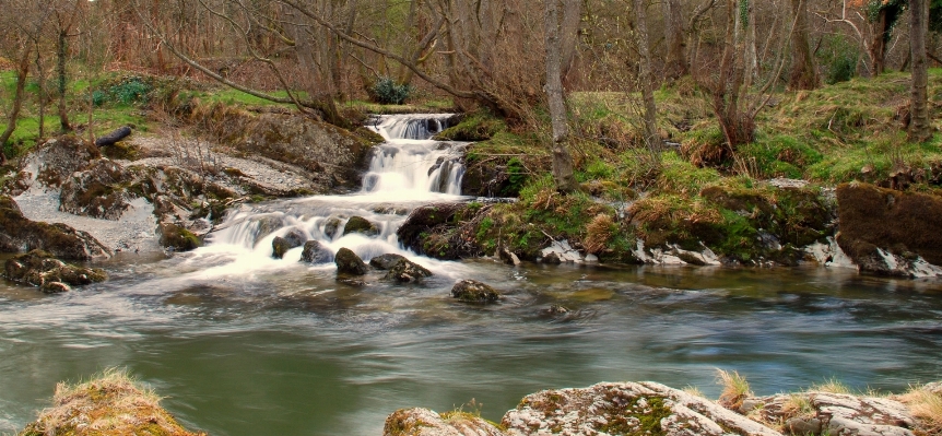 Waterfall wilderness river stream Photo