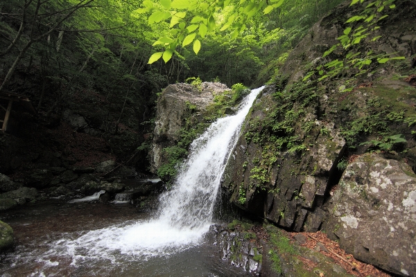 Waterfall adventure valley formation Photo