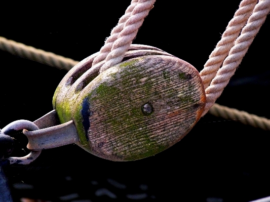 Water branch dew rope Photo