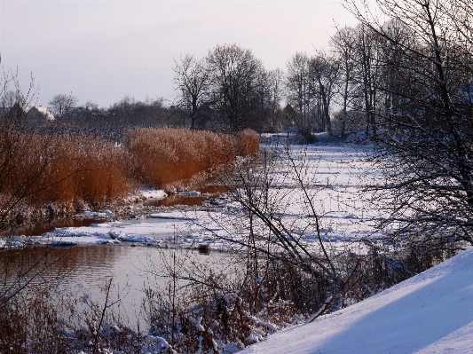 Landscape tree water nature Photo