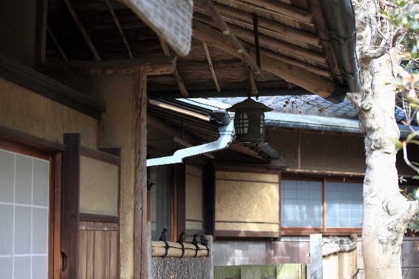 木 家 屋根 高い 写真