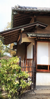 木 家 屋根 建物 写真