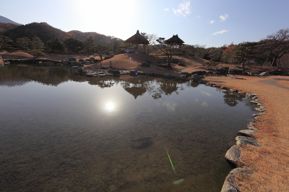 景观 海 海岸 水