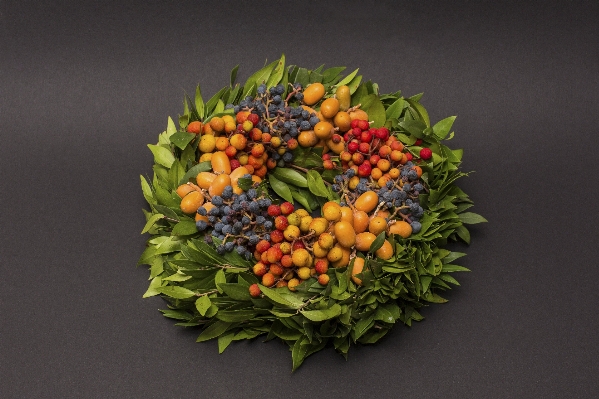 ブランチ 植物 フルーツ 葉 写真