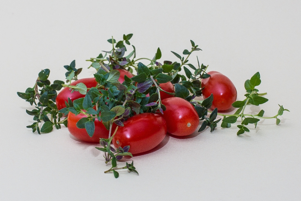 植物 フルーツ 花 食べ物