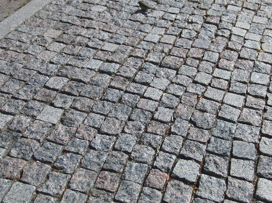 Road sidewalk floor roof Photo