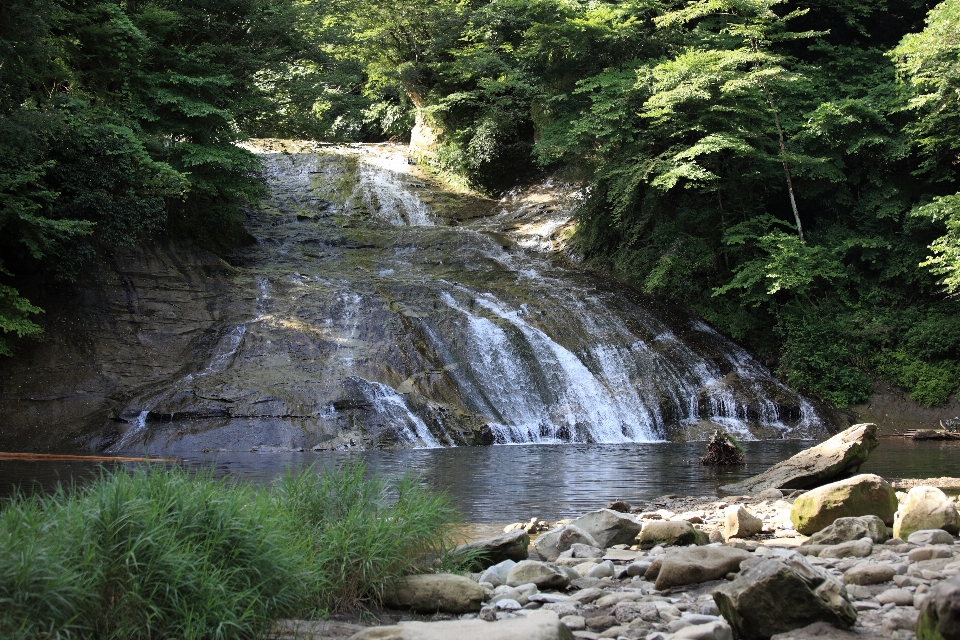 Eau forêt cascade ruisseau
