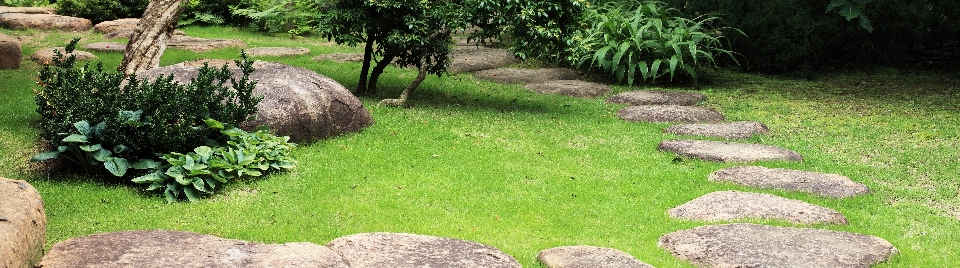 Landscape grass lawn walkway