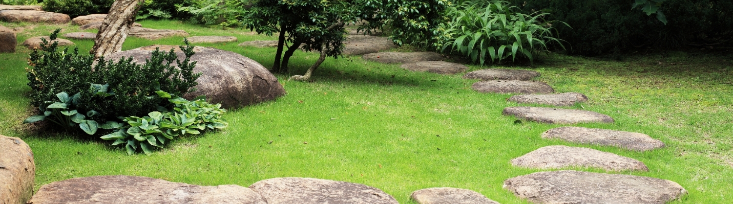 Foto Paesaggio erba prato passerella