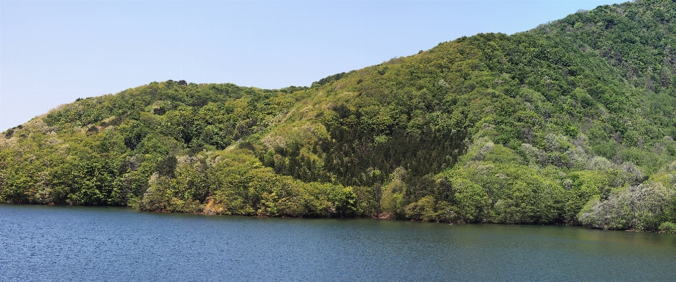 Tree forest mountain lake Photo