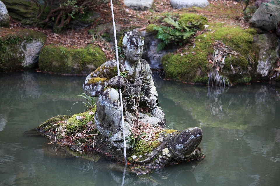 Rock cascade rivière étang