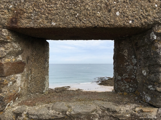 海 海岸 rock 木 写真