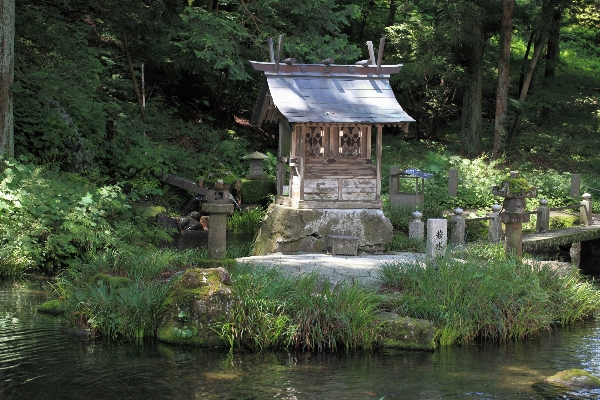 River pond high jungle Photo