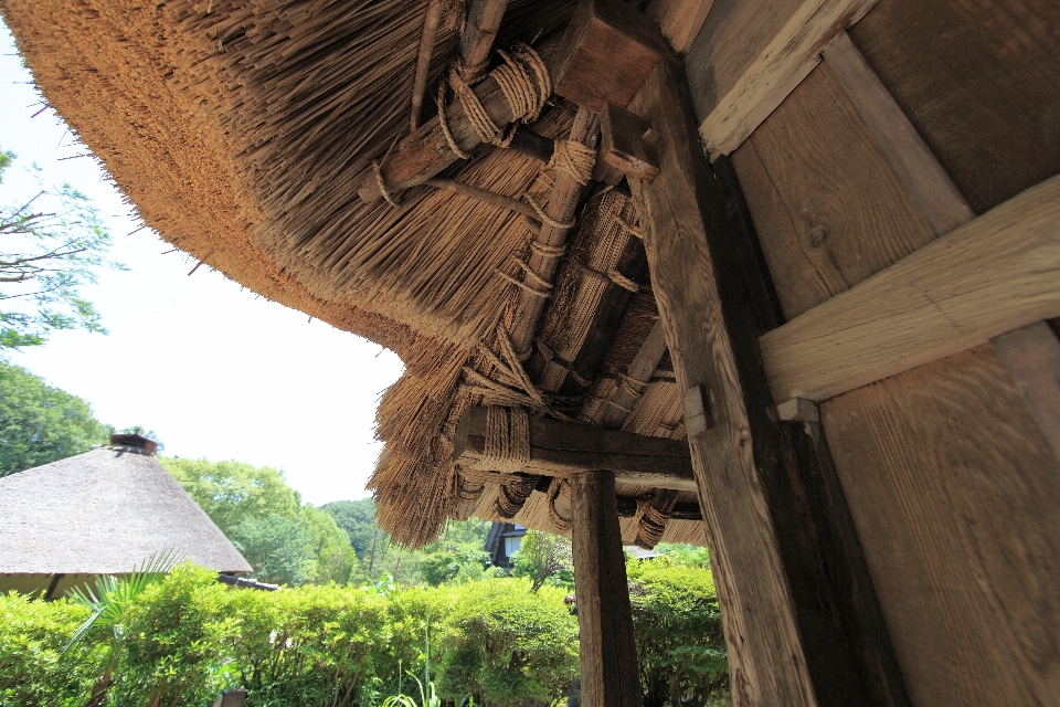 Wood roof hut high