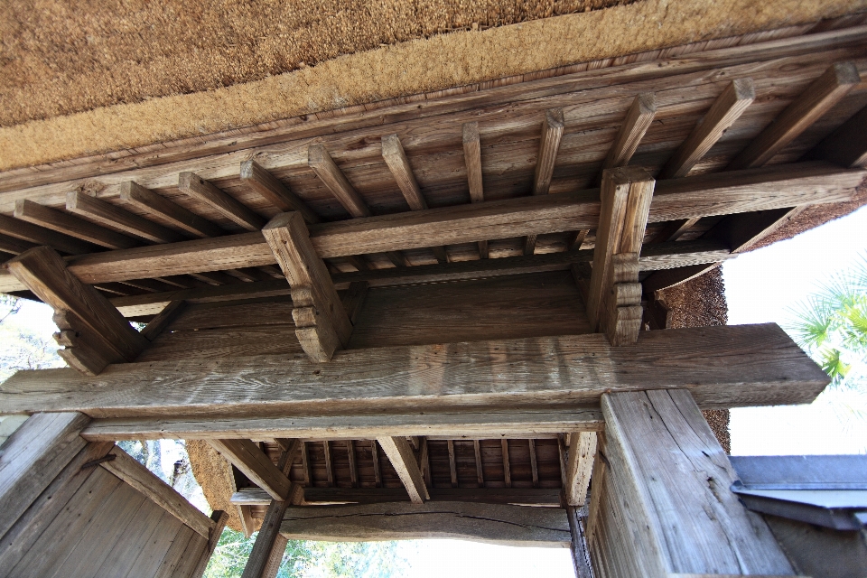 Architecture wood roof shed