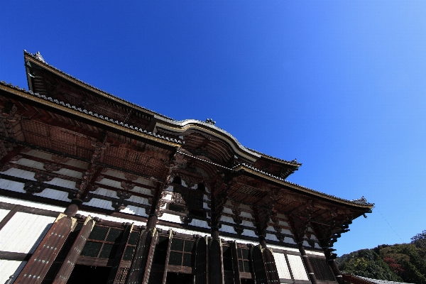 建築 屋根 建物 高い 写真