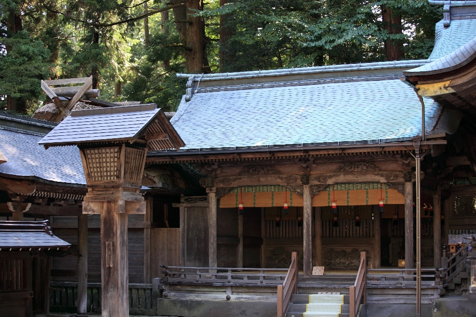 Architecture wood house roof