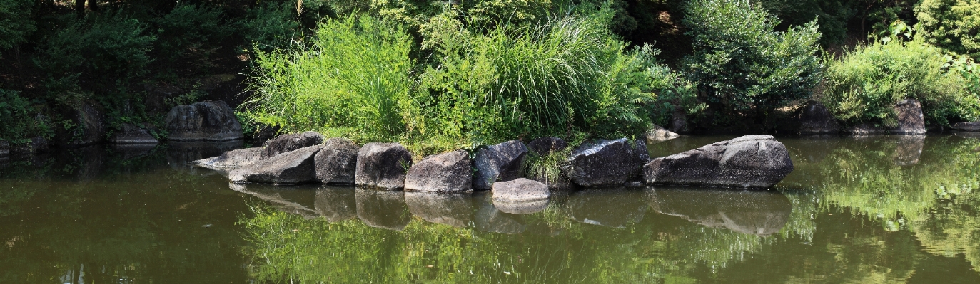 Swamp river panorama pond Photo