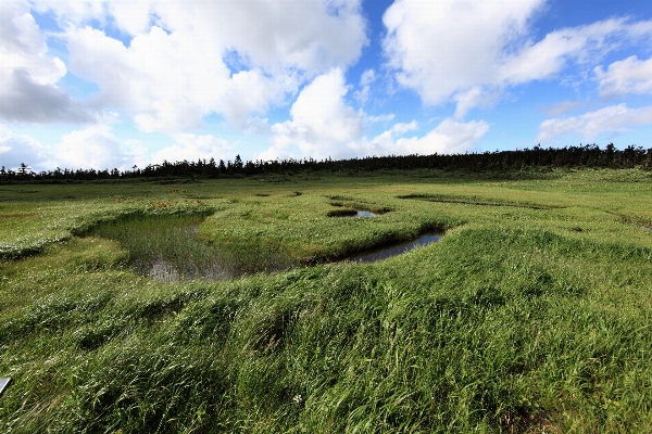 Landscape coast grass horizon Photo