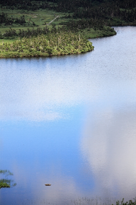 Paisaje mar árbol agua