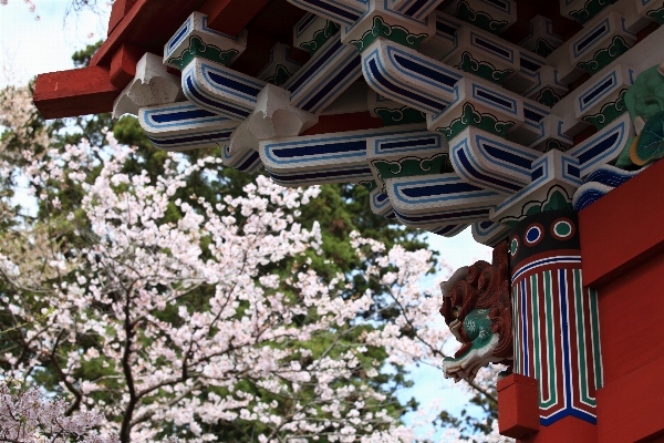 Architecture flower high amusement park Photo