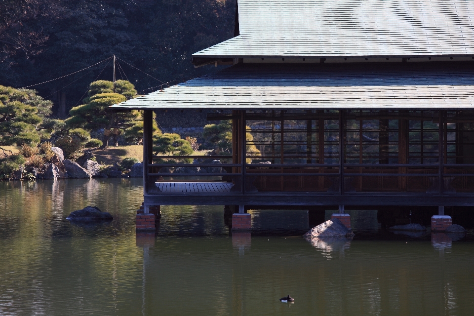 水 dock 家 川