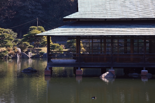 Foto água dock casa rio