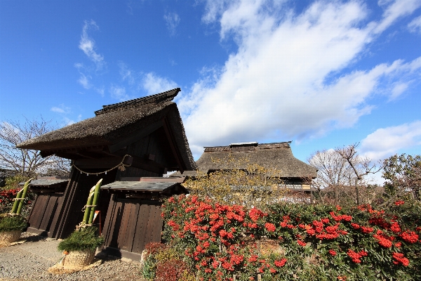 Architecture farm house flower Photo