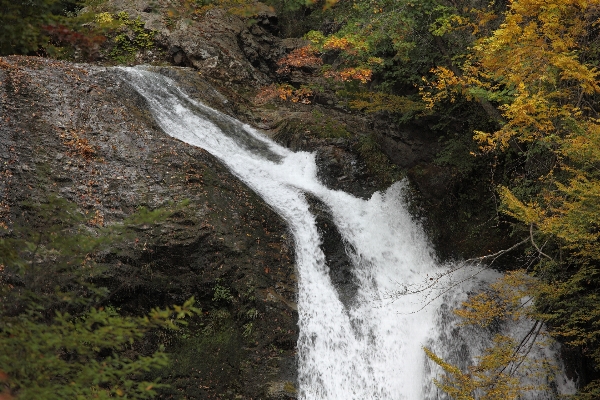 水 瀑布 河 stream 照片