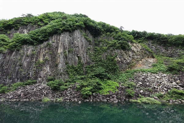 Tree rock cliff high Photo