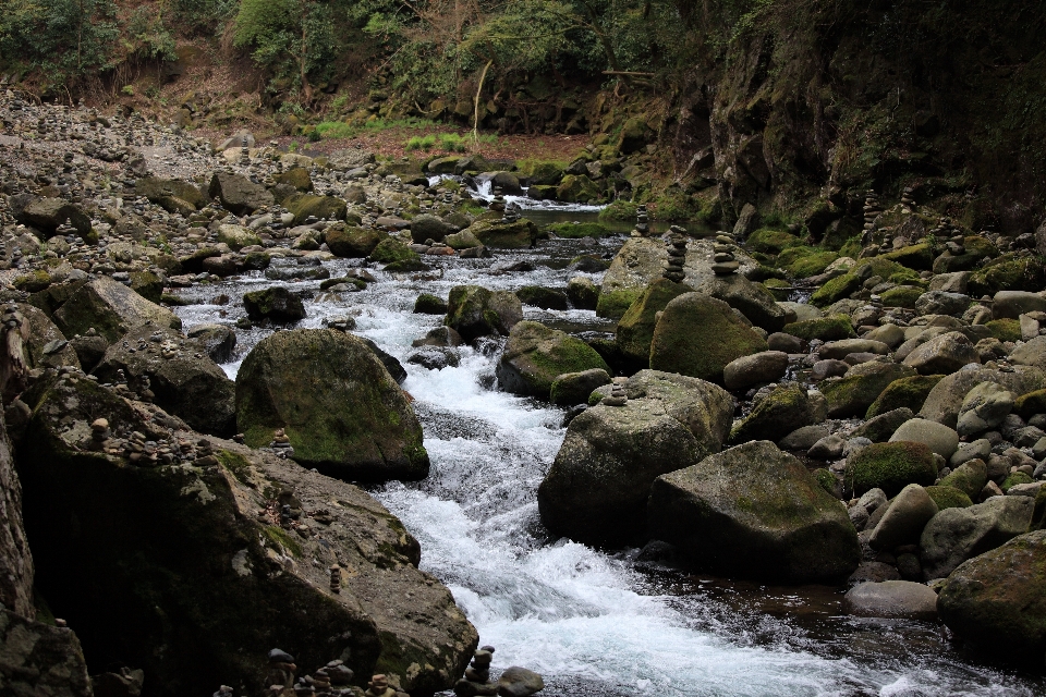 Landscape water nature forest