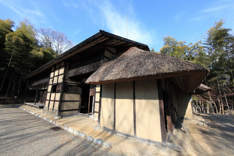 Architecture wood house roof