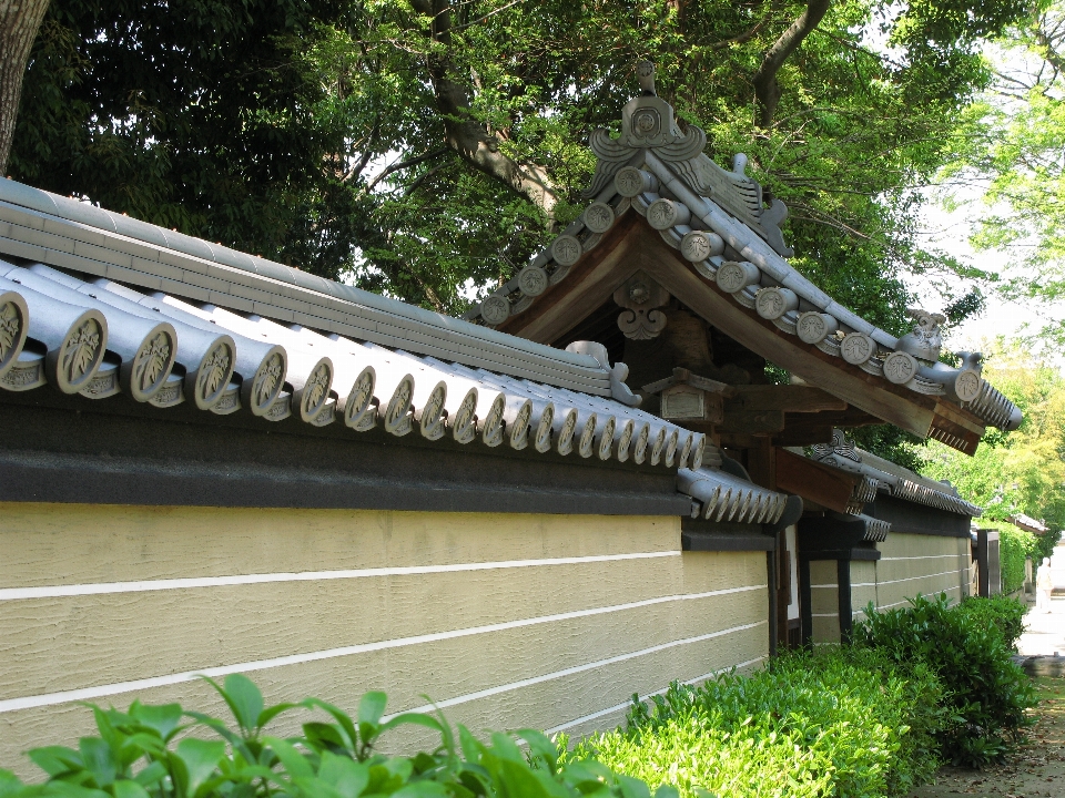 建筑学 老的 高的 花园